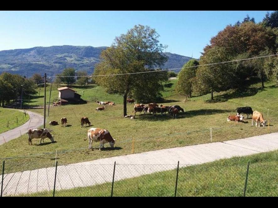 Casa "La Forcella" Βίλα Brembilla Εξωτερικό φωτογραφία